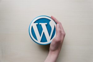 Ist Ionos WordPress Hosting günstig? auf meinekleinetestseite.de
